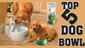 Best 5 Dog Water Bowl For Dogs and WHY
