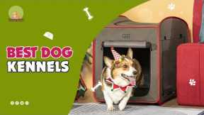The Best Dog Kennels In 2022 | Top 5 Dog Kennels Review