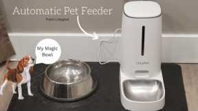 Liieypet Automatic Pet Feeder | Product Review