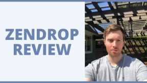 Zendrop Review - Can This Software Help You Run A Dropshipping Store?