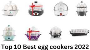 Best egg cookers 2022. _Product Review