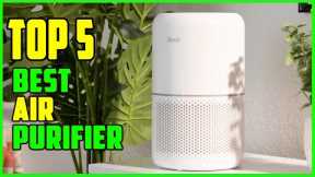 TOP 5: Best Air Purifiers 2022 | Top Air Purifiers for Smoker Reviews