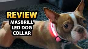 MASBRILL Light Up (LED) Dog Collar Unboxing & Review