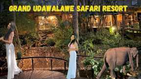 Hotel Review - Grand Udawalawe Safari Resort| English Subtitles| Travel Sri Lanka