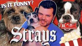 Strays (2023) Movie Review - Funny or Too Silly?