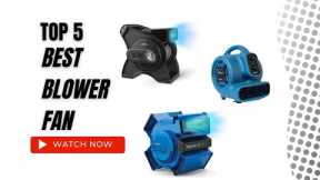 Best Blower Fan On Amazon / Top 5 Product ( Reviewed & Tested )