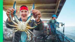 How Maryland Crabbers Trap Edible Gold!!
