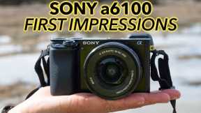 Sony a6100 Pre-Review Intro. Mud. Nikon Z 50. Hijinks!