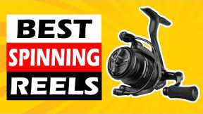 Top 5 Best Spinning Reels in 2025