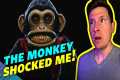 The Monkey Movie Review - This Is