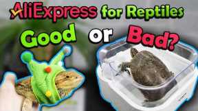 We Review Reptile Products from AliExpress!