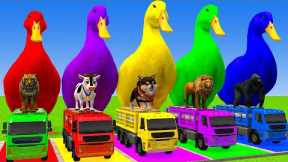 Long Slide Game With Cow Elephant Gorilla Hippopotamus Tiger 3d Animal Game Funny 3d Animals