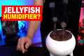 This Bizarre Jellyfish Humidifier
