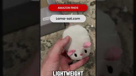 Best amazon products in 2025