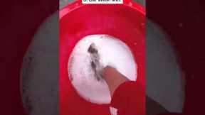 Random Amazon Finds #19 ( @CrazyFinds1 ) | Product Gadget Review #shorts #amazon #home