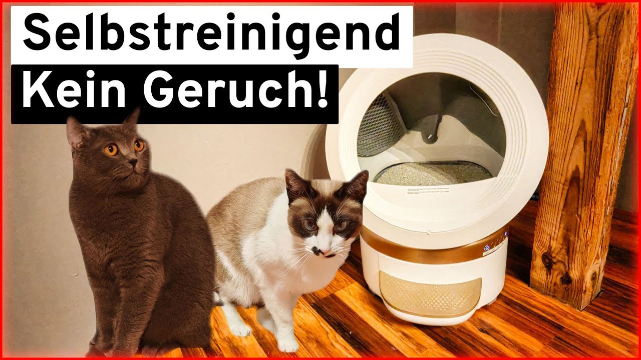 Die beste Katzentoilette? MOVA MeowgicPod LR10 Prime im Test