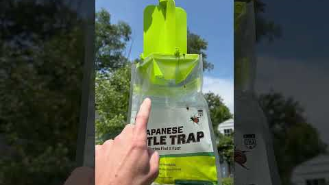RESCUE! Japanese Beetle Trap Review | Honest Review