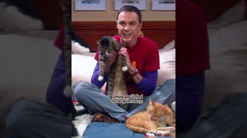 Mom used her wisdom to mend Sheldon's emotional rift