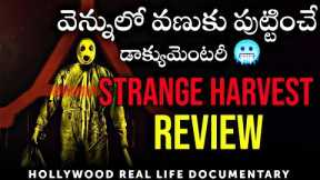 Strange Harvest Movie Review in Telugu | Telugu Dubbed 