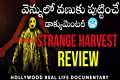 Strange Harvest Movie Review in